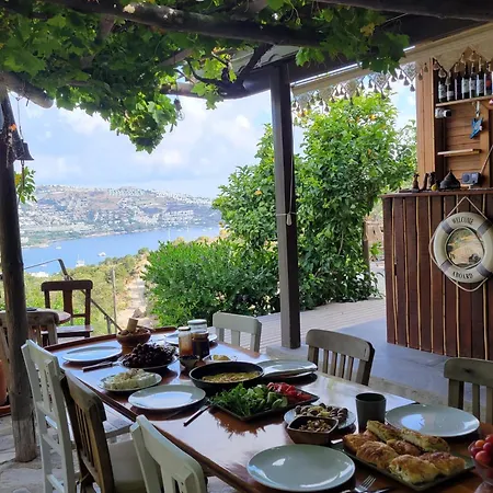 House Apartman Bodrum